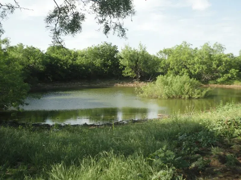 105.11 Acres – Crawford Lane, photo 1 of 1