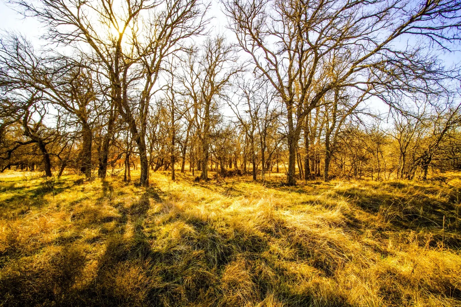 129 Acres – Hwy 281 N, photo 1 of 1