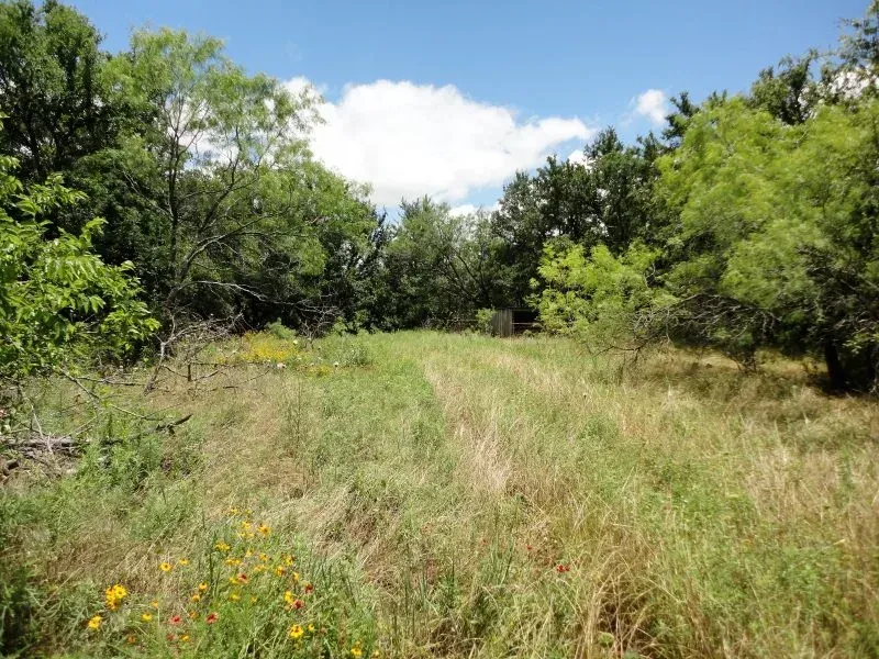 23 +/- Acres – Hwy 4, photo 1 of 1