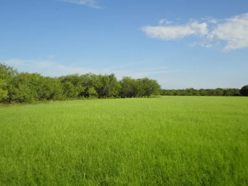 29 +/- Acres on Henderson Ranch Rd – Joplin, TX, photo 1 of 1