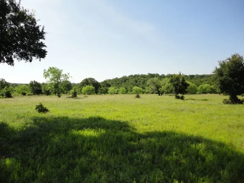 283 Acres – Hwy 59, photo 1 of 1