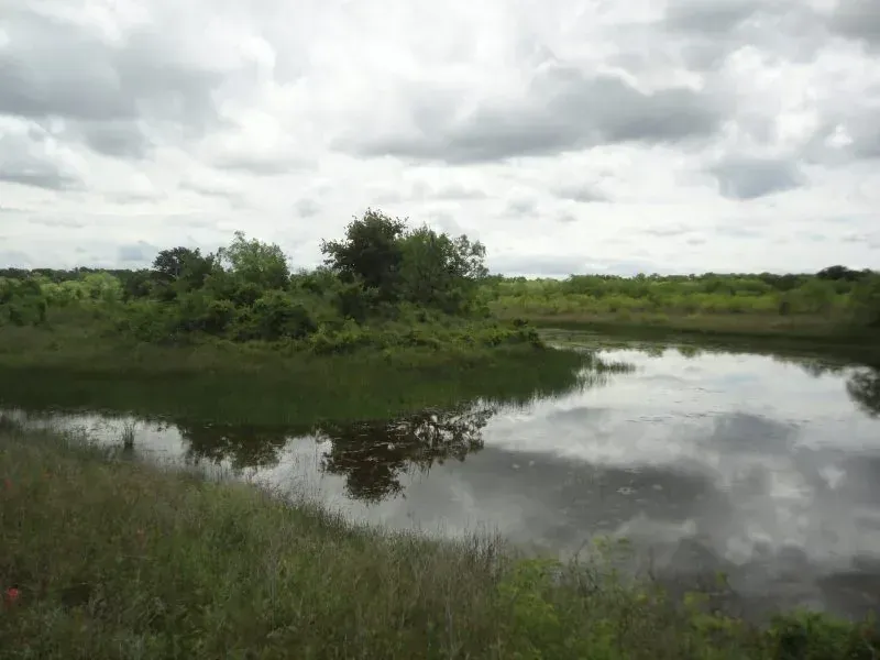29.23 Acres – Wesley Chapel Rd, photo 1 of 1