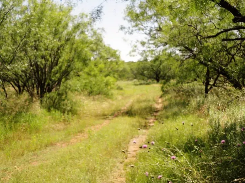 32.96 Acres on MX Ranch Rd, photo 1 of 1