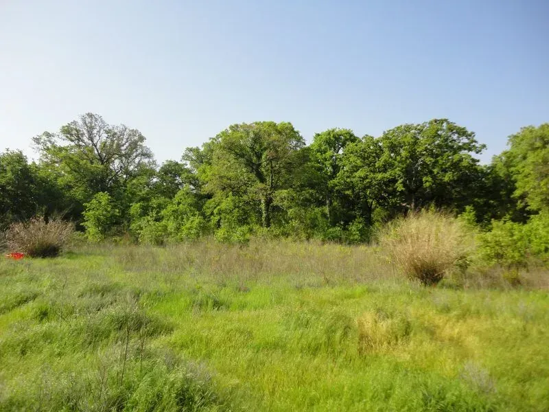 33.8 Acres – Hwy 199, photo 1 of 1