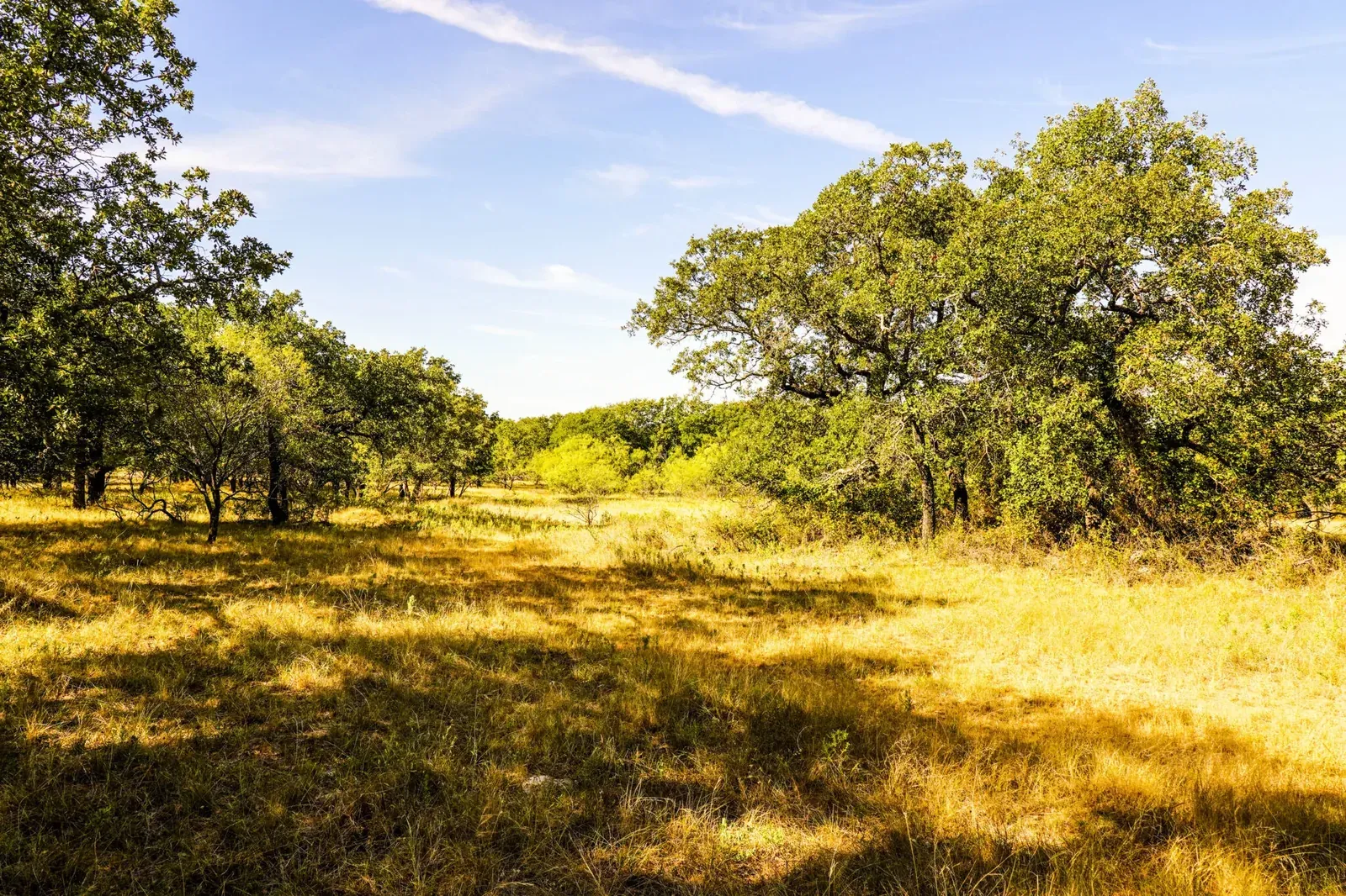 91.55 Acres – Hammon Lane, photo 1 of 23