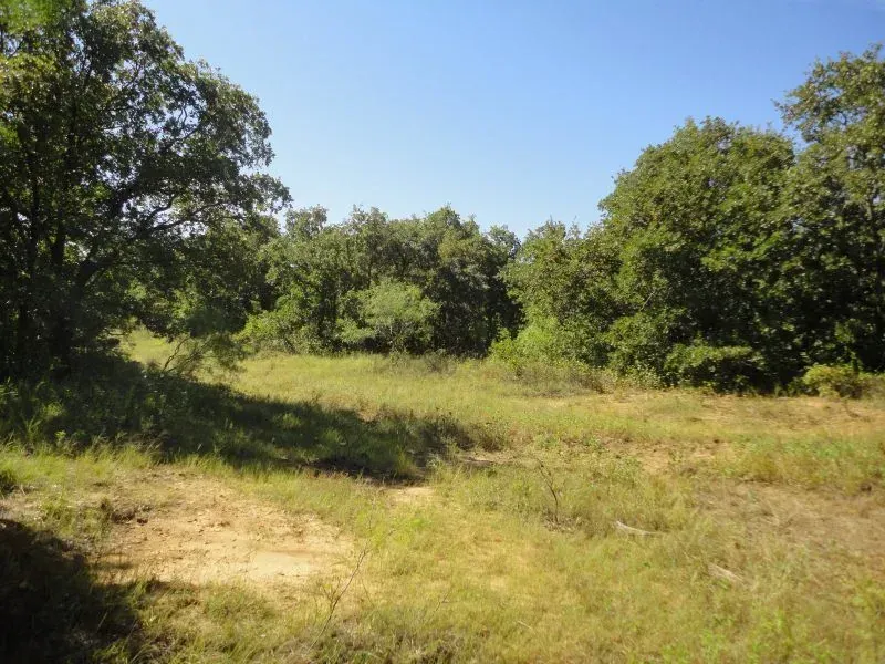 44 +/- Acres on Tillery Road, photo 1 of 1