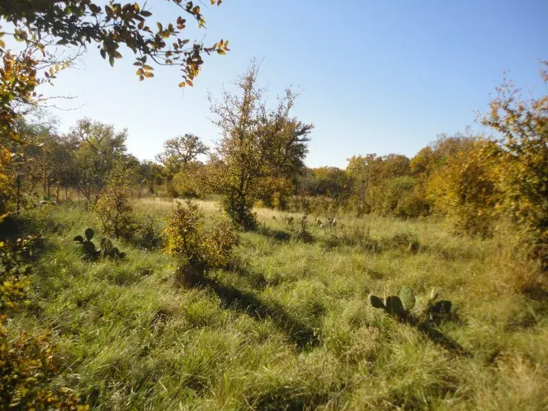 46 Acres – Roberts Branch Rd, photo 1 of 1
