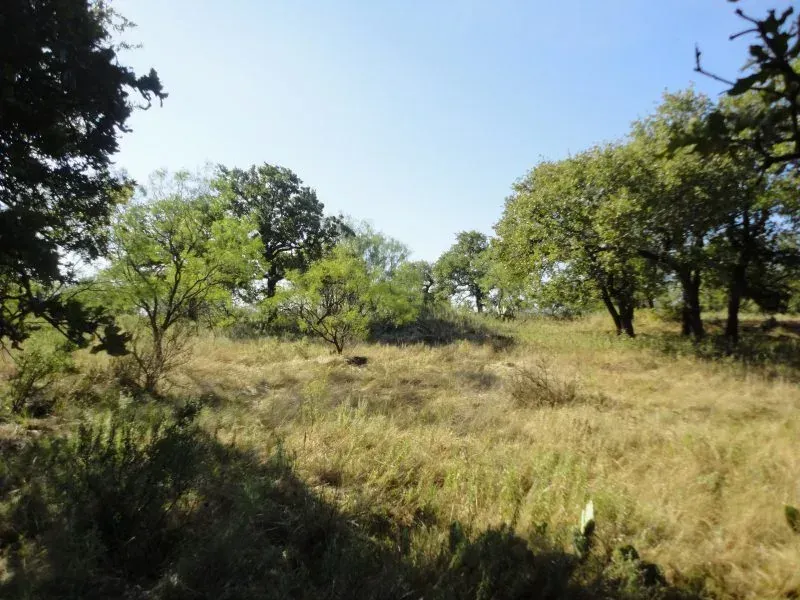 48.5 Acres – Prideaux Rd, photo 1 of 1