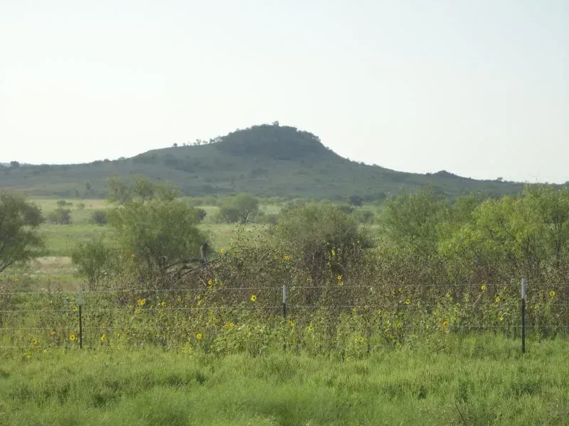 70 +/- Acres – Dearing Rd, photo 1 of 1