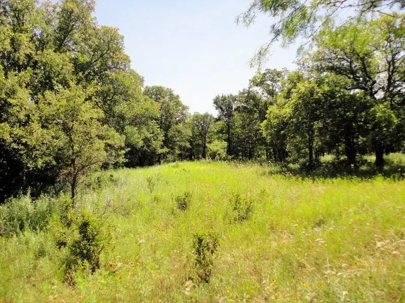 70.0 Acres – Hwy 16, photo 1 of 1