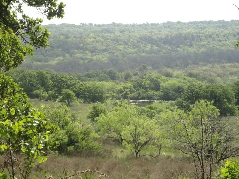 716.28 Acres – Causeway Road, photo 1 of 1