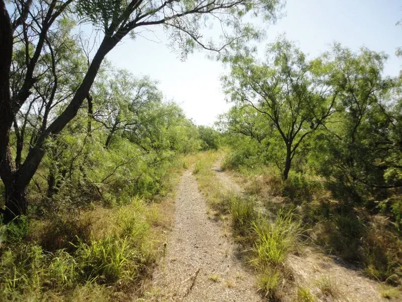 82 Acres on Kelsay Lane, photo 1 of 1