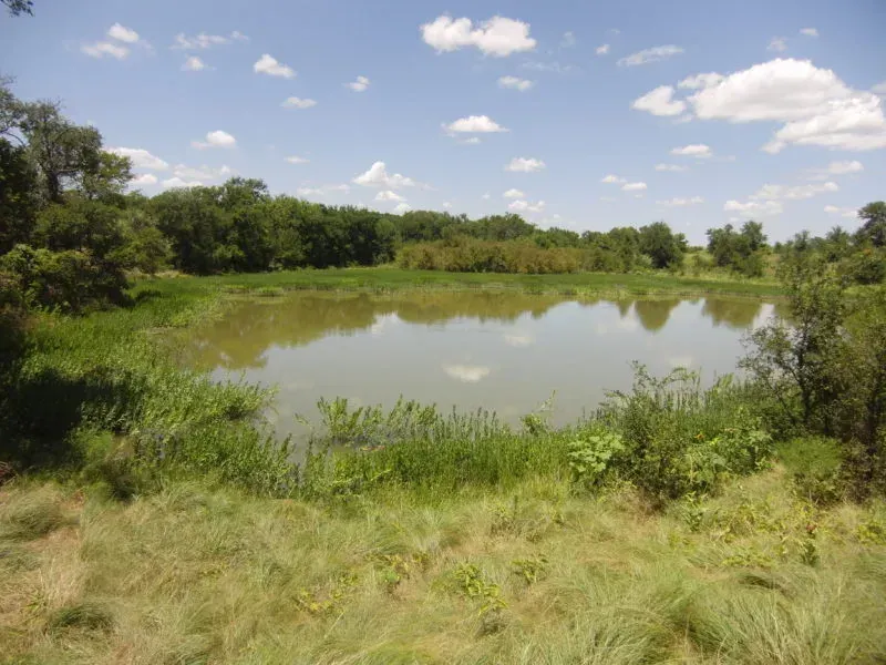 330 Acres, Jack Co., TX, photo 1 of 1