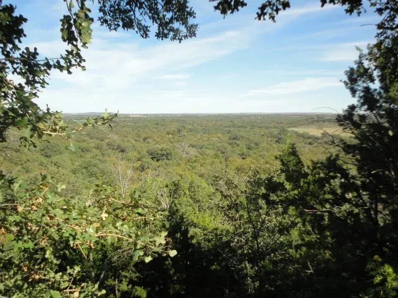 89.55 Acres Teague Road, photo 1 of 1