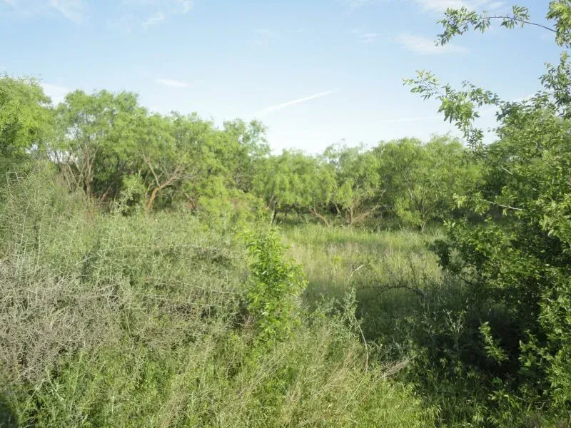95 Acres, Jack Co, photo 1 of 1