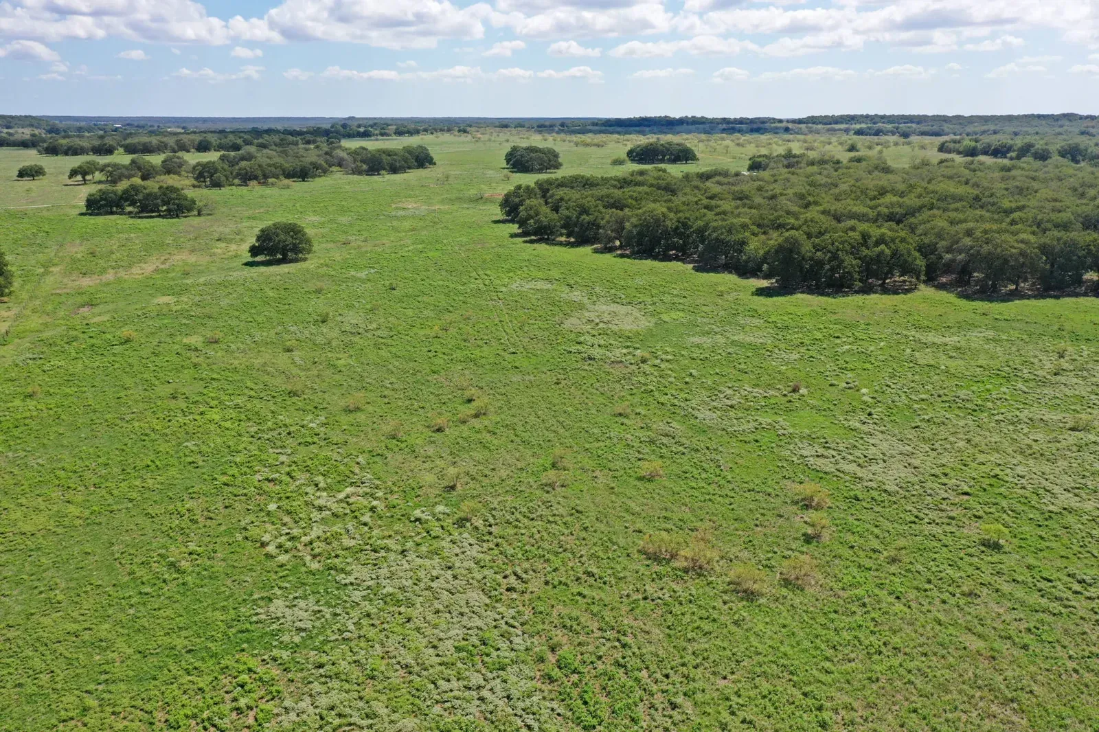 17530 Hwy 59, Bowie, TX  – SOLD!, photo 1 of 49