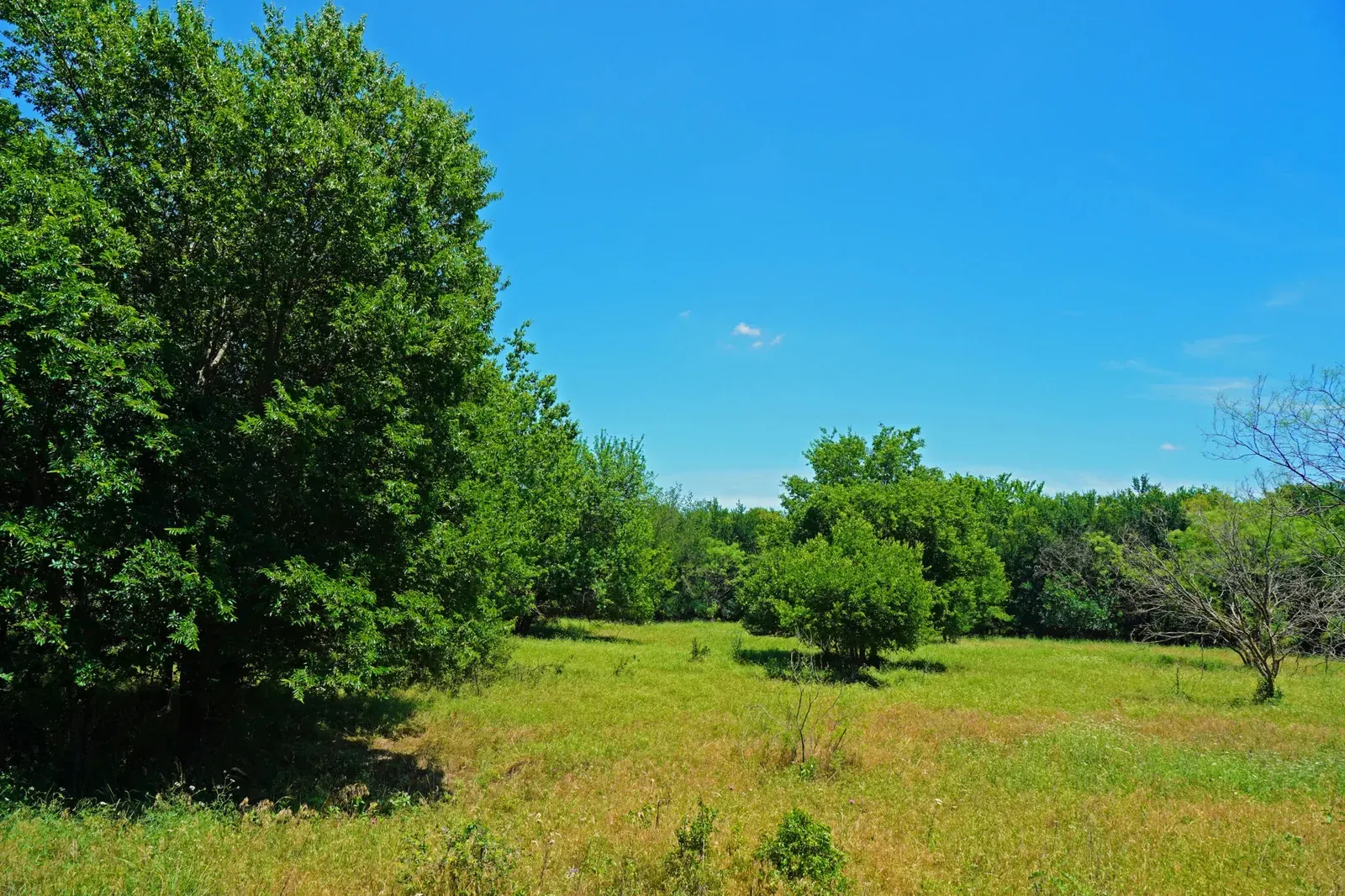 36.42 Acres – FM 2210, photo 1 of 27