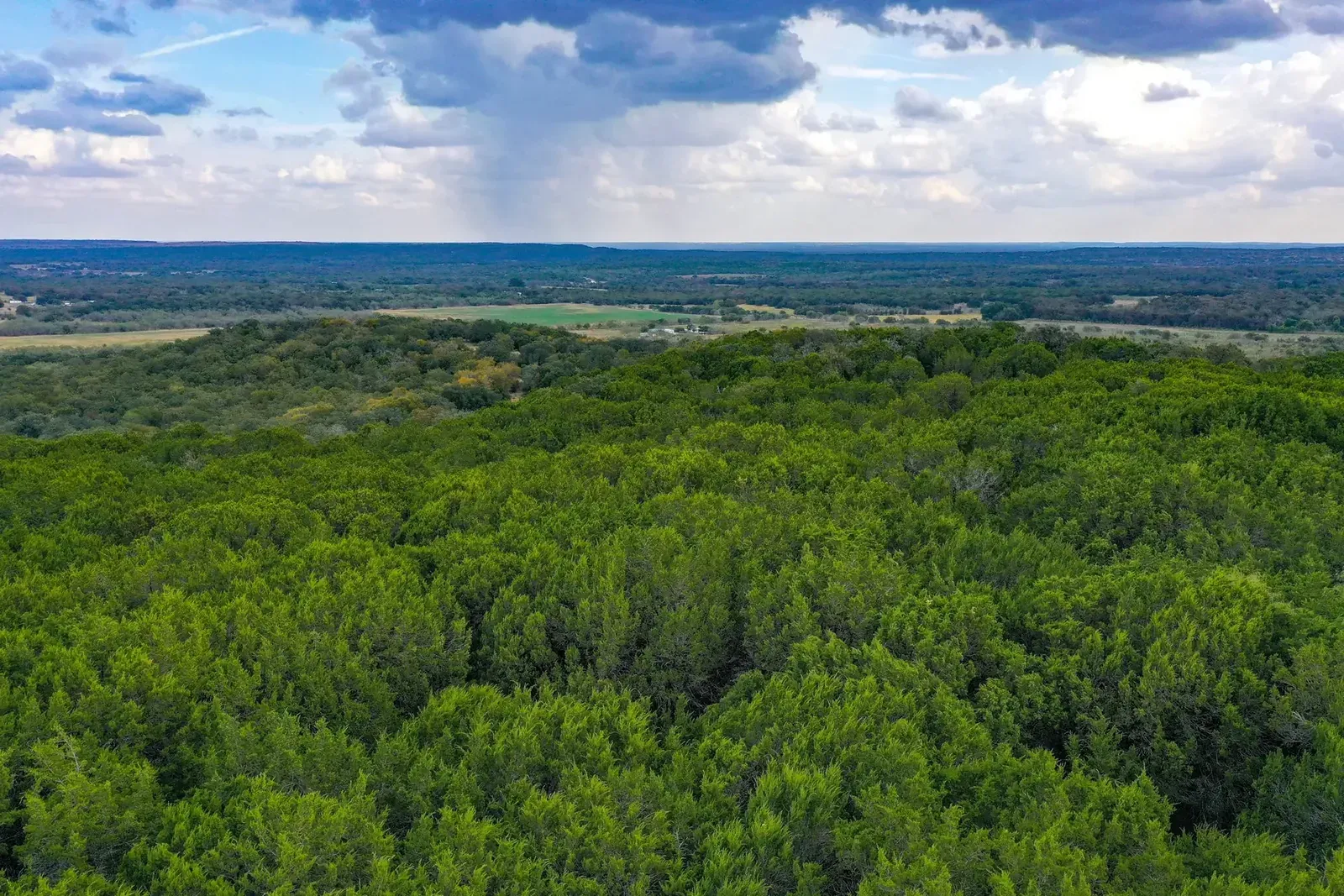 79 Acres – Halsell Ranch Rd, photo 1 of 17