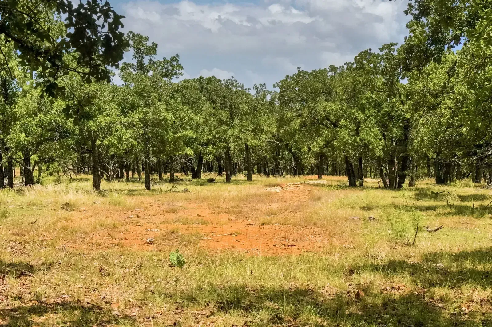 16.5 Acres – Burwick Road, photo 1 of 38