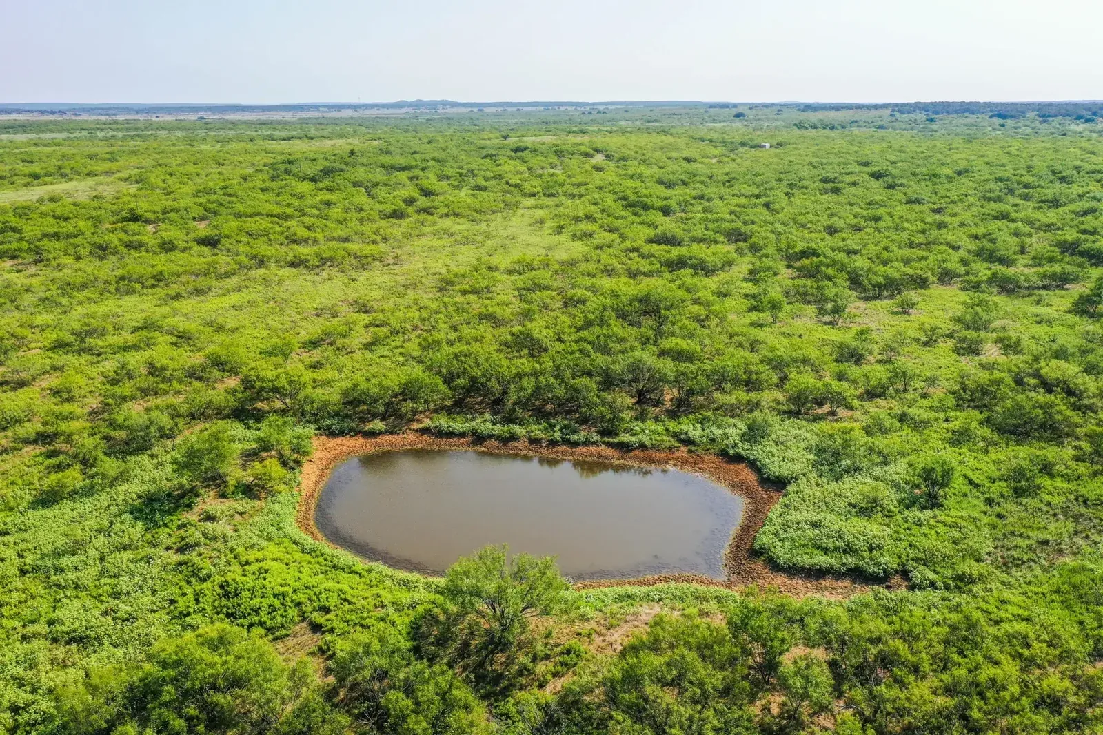 262.71 Acres – FM 1191, photo 1 of 31