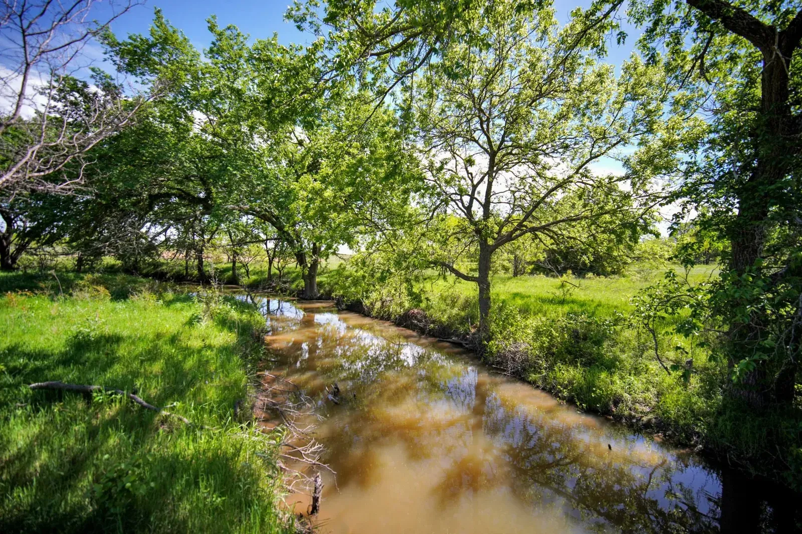 300 Acres – FM 4, photo 1 of 53