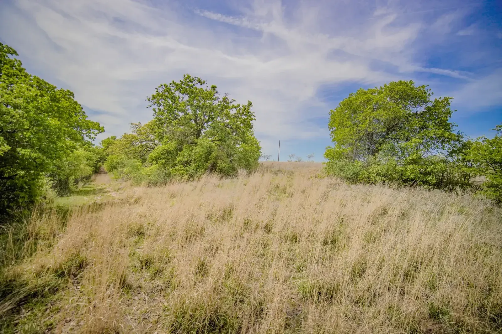 11 Acres – Mountain Home Road, photo 1 of 32