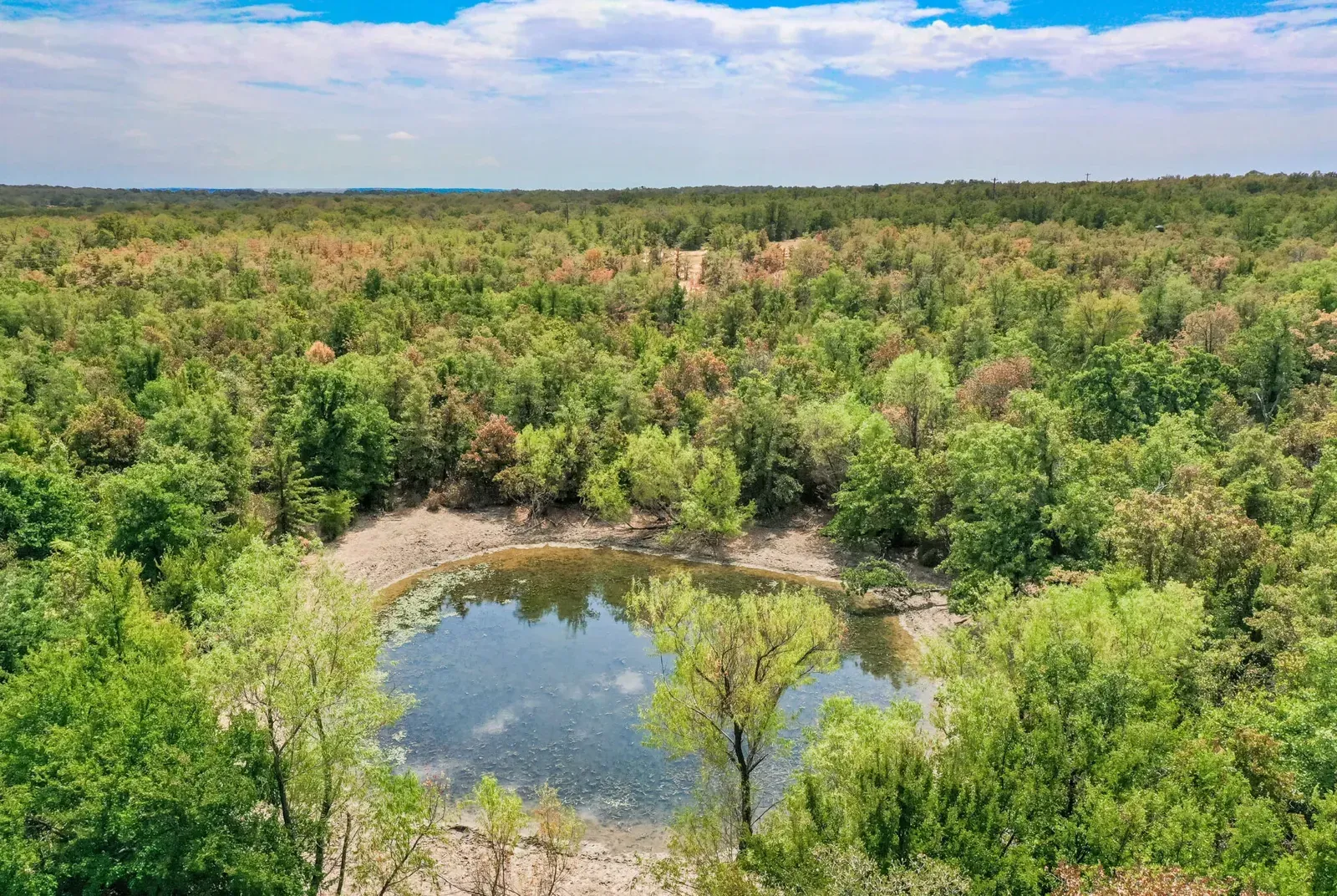 714.96 Acres – Two Bush Road, Perrin, TX, photo 1 of 41