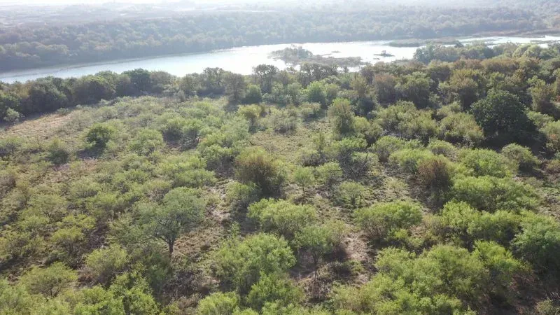 18.7 Acres – Old Bowie Hwy, photo 1 of 1