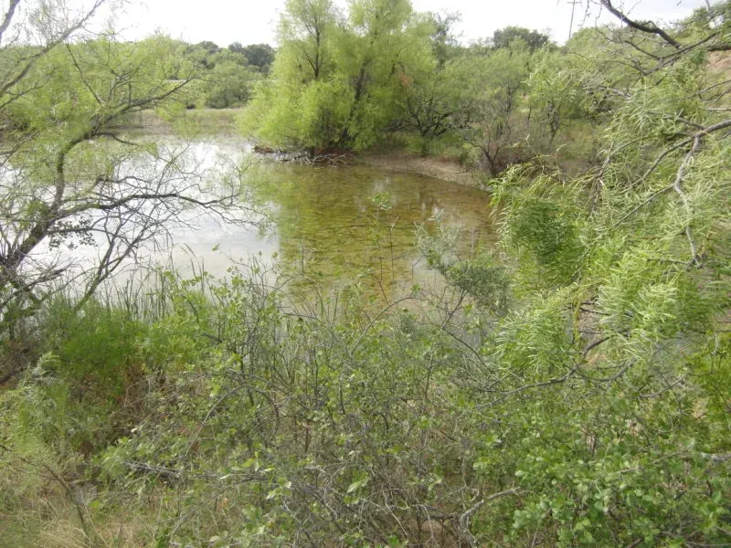 134.12 Acres-Eastland Co., TX, photo 1 of 1