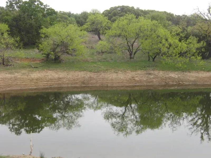 156 Acres, Jack Co., TX, photo 1 of 1