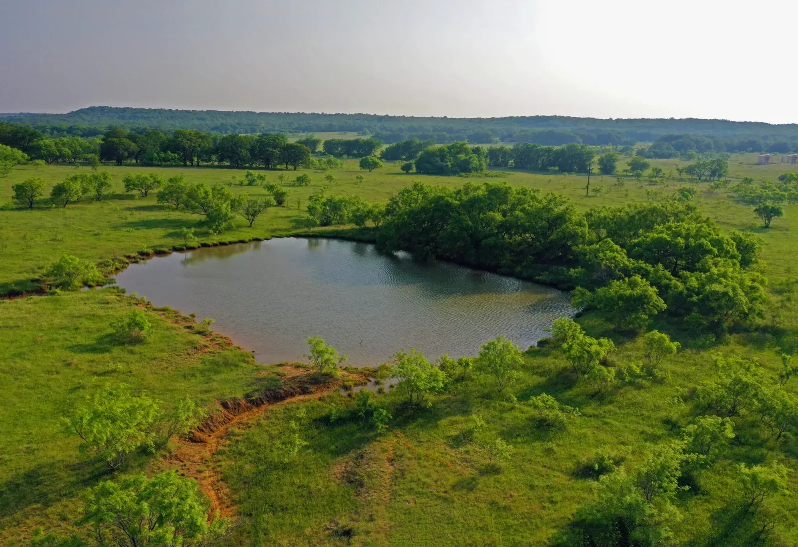 85 Acres – FM 2127, Newport, TX, photo 1 of 35
