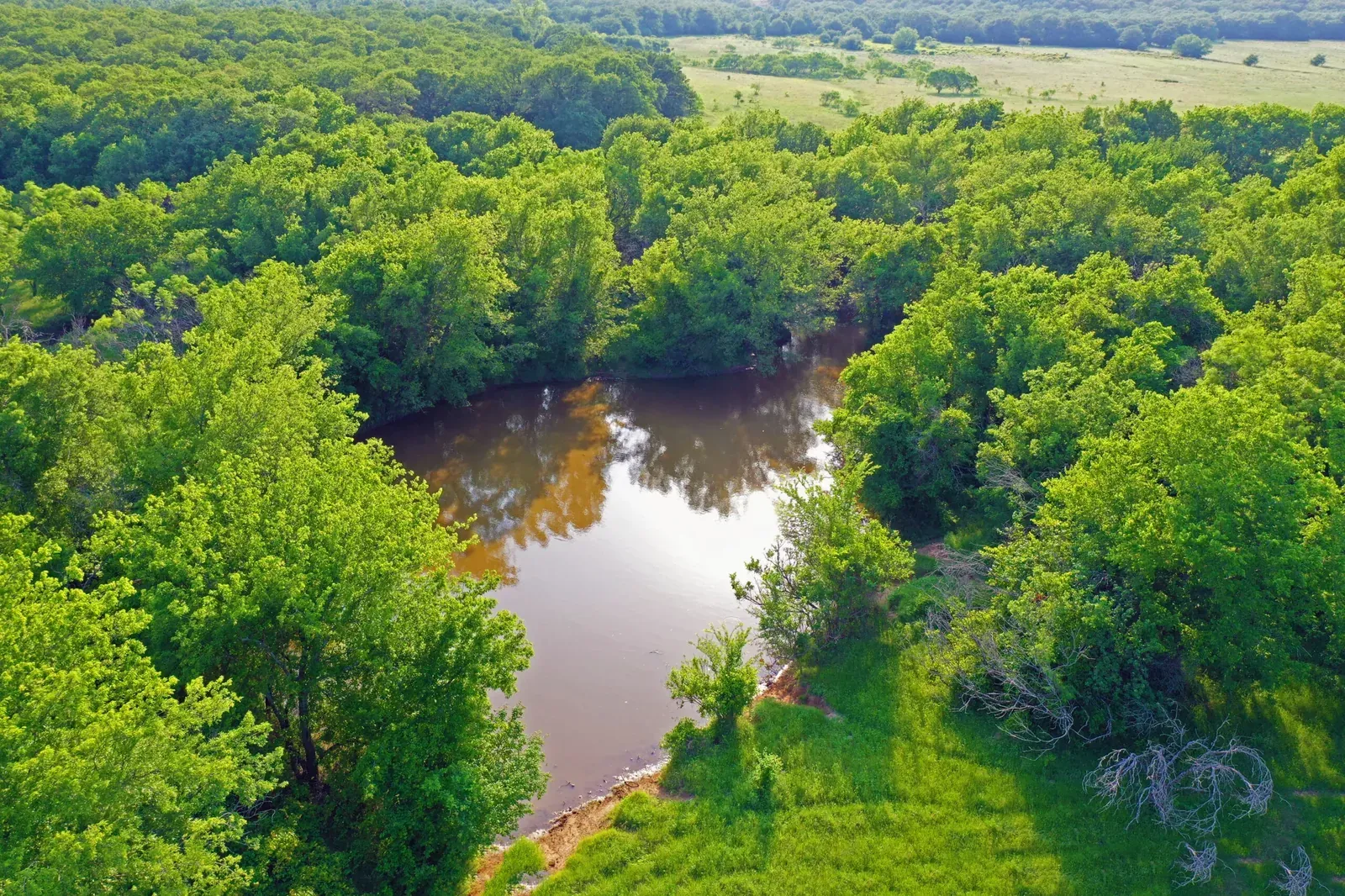 60 Acres – FM 2127, Newport, TX, photo 1 of 23