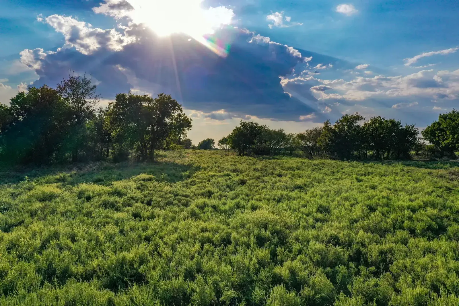 99.97 Acres – Hwy 281, photo 1 of 40
