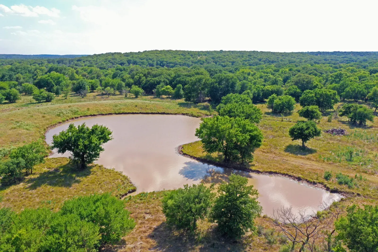 141 Acres – Rater Road, photo 1 of 25