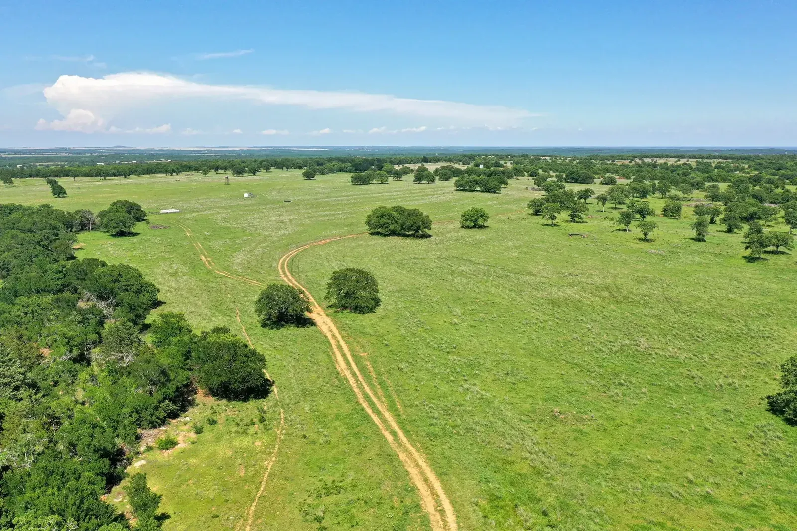 136 Acres – FM 2127, photo 1 of 40