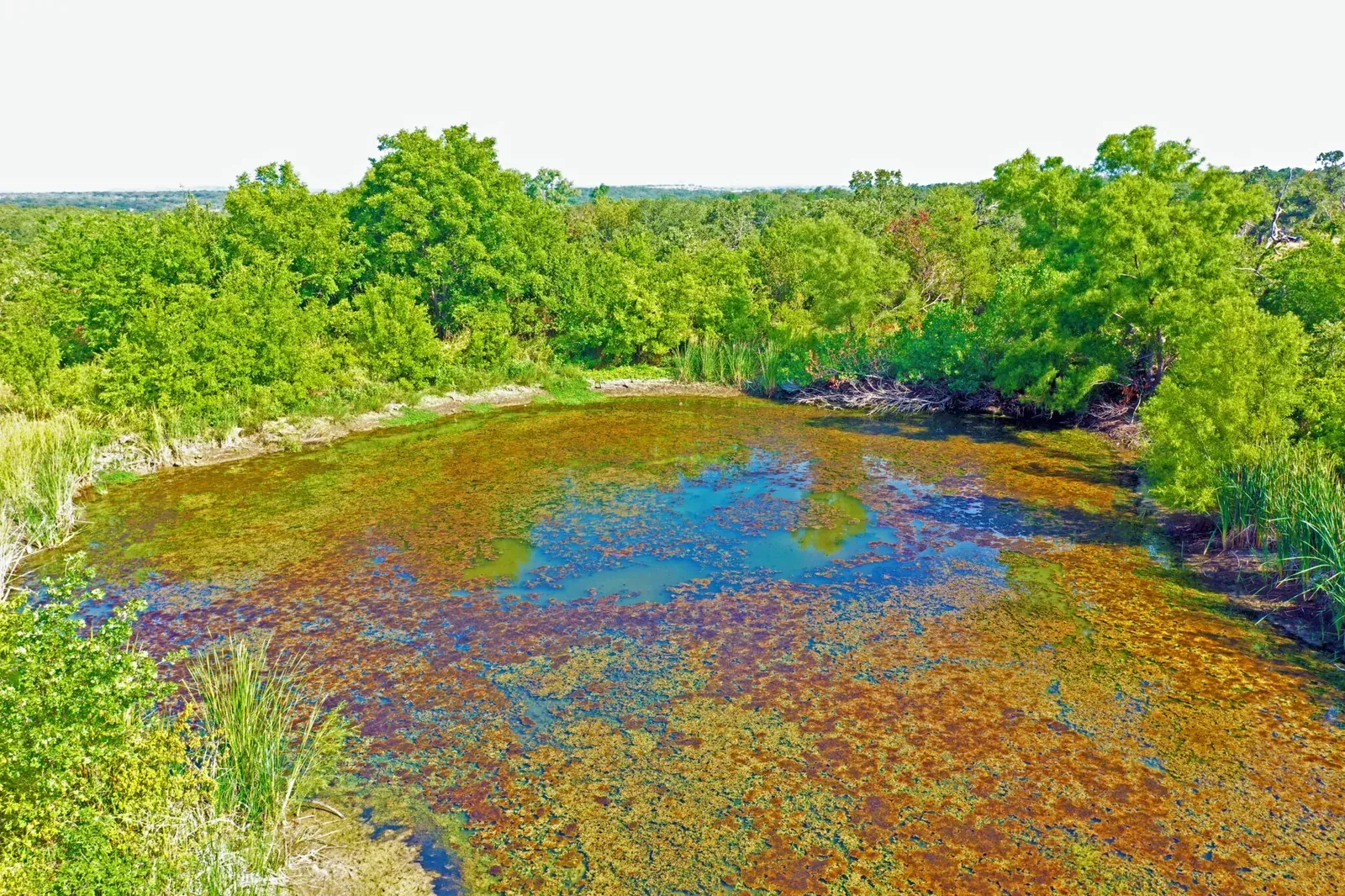 1.95 Acres – Hwy 380, photo 1 of 5