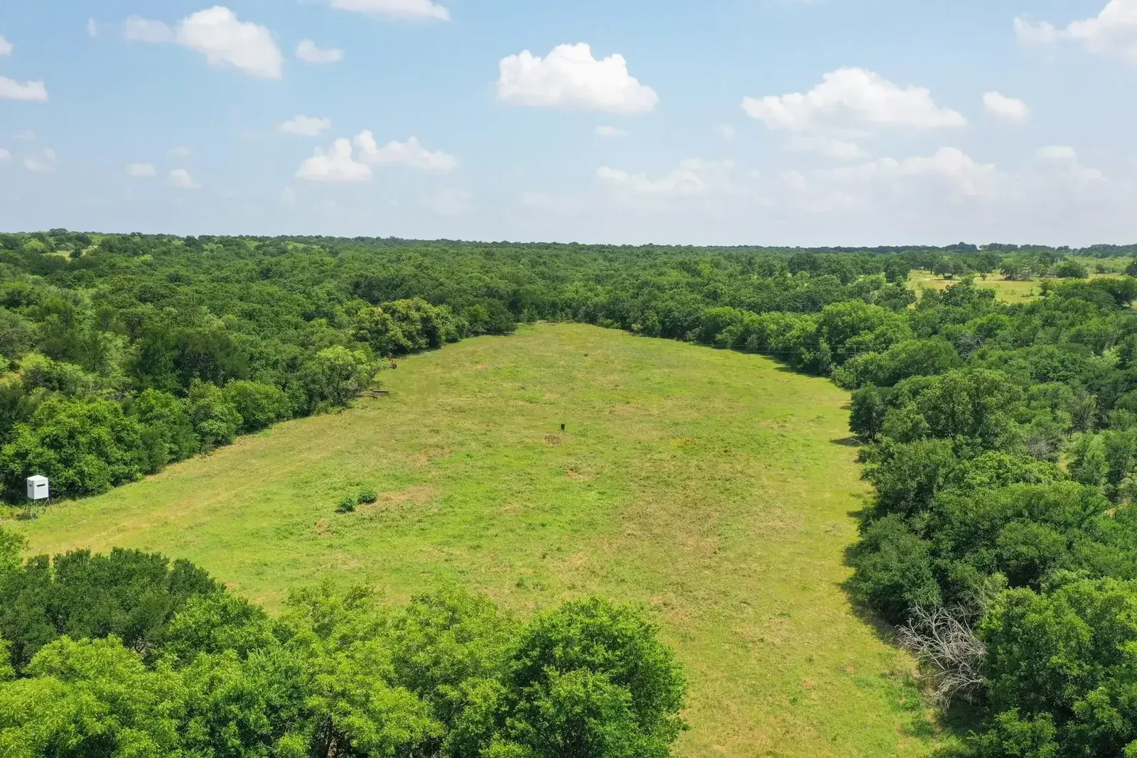 43.18 Acres – Hwy 281, photo 1 of 40