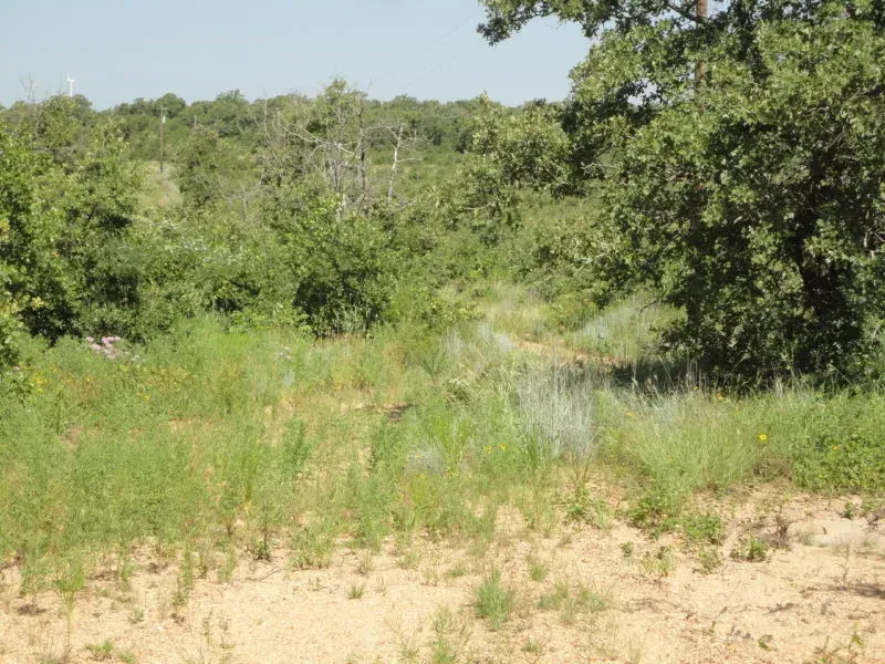 33.79 AC, Jack Co. TX, photo 1 of 1