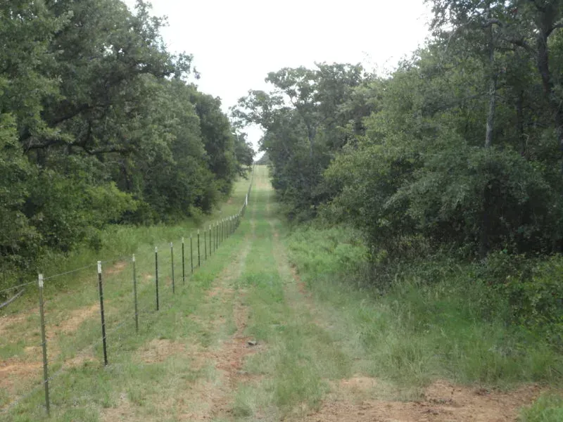 37.74 Acres, Jacksboro, TX, photo 1 of 1