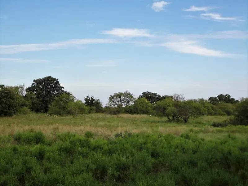 12.39 Acres – Hwy 281, photo 1 of 1