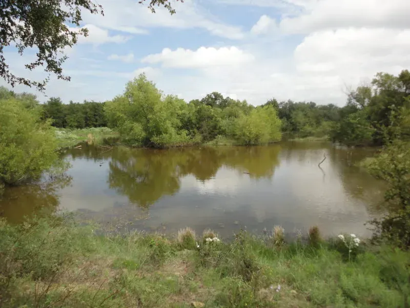 79 Acres, Slusher Rd, Jack Co, TX, photo 1 of 1