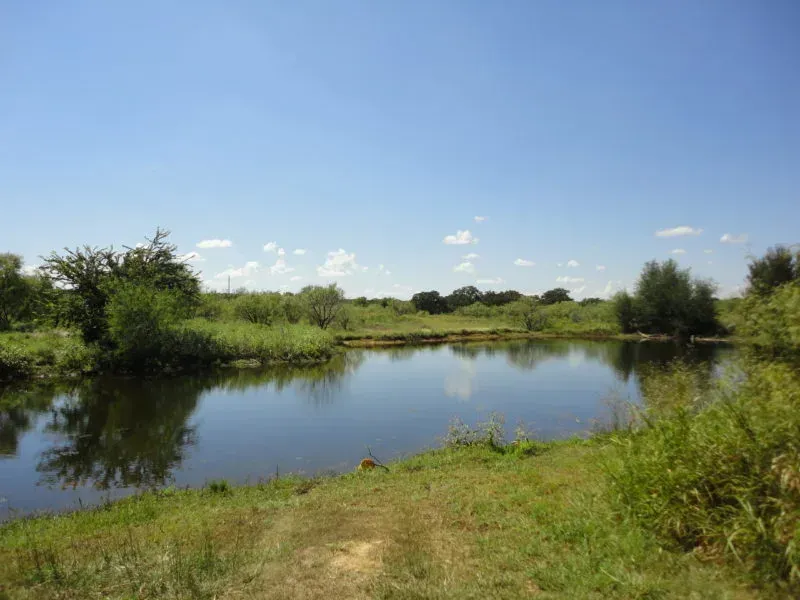 50 Acres-Jack County, TX, photo 1 of 1