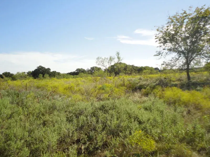 10.32 Acres – Hwy 281 South, Jack County, Texas, photo 1 of 1