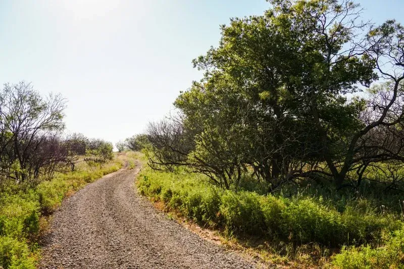 64.5 Acres on MX Ranch Rd – Young Co, photo 1 of 1