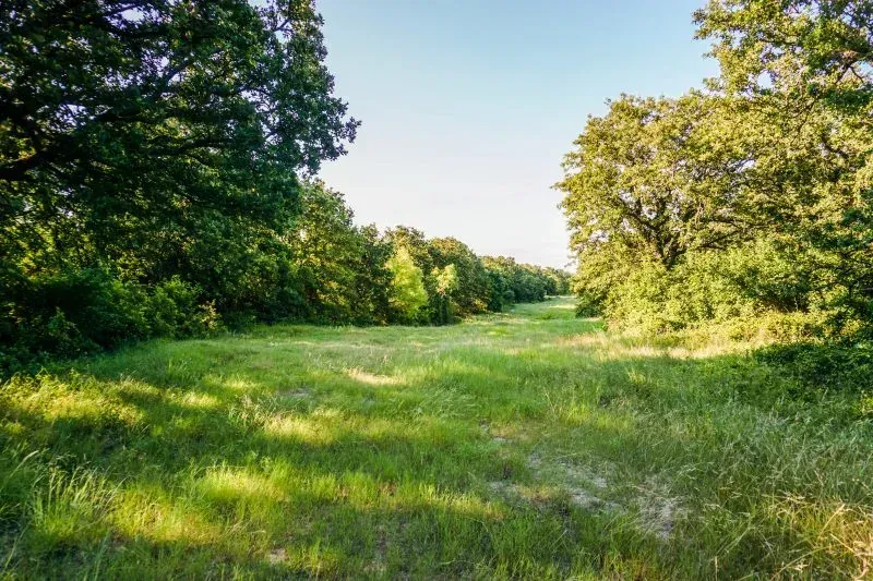 321 Acres – FM 2210, photo 1 of 1