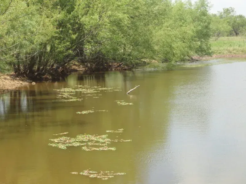 23.8 Acres, Clay Co., TX, photo 1 of 1