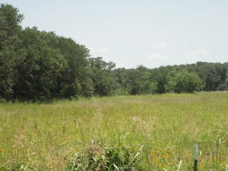 19.75 AC, Crafton, TX, photo 1 of 1