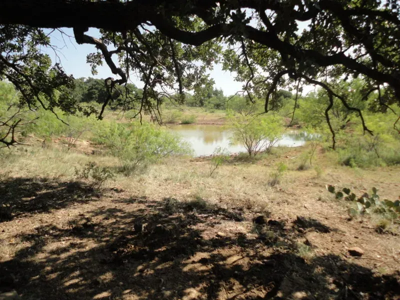 127 Acres, Jack Co, TX, photo 1 of 1