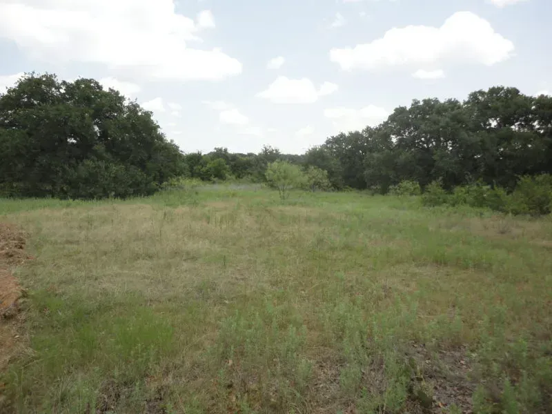 69.5 Acres – Jack County, photo 1 of 1