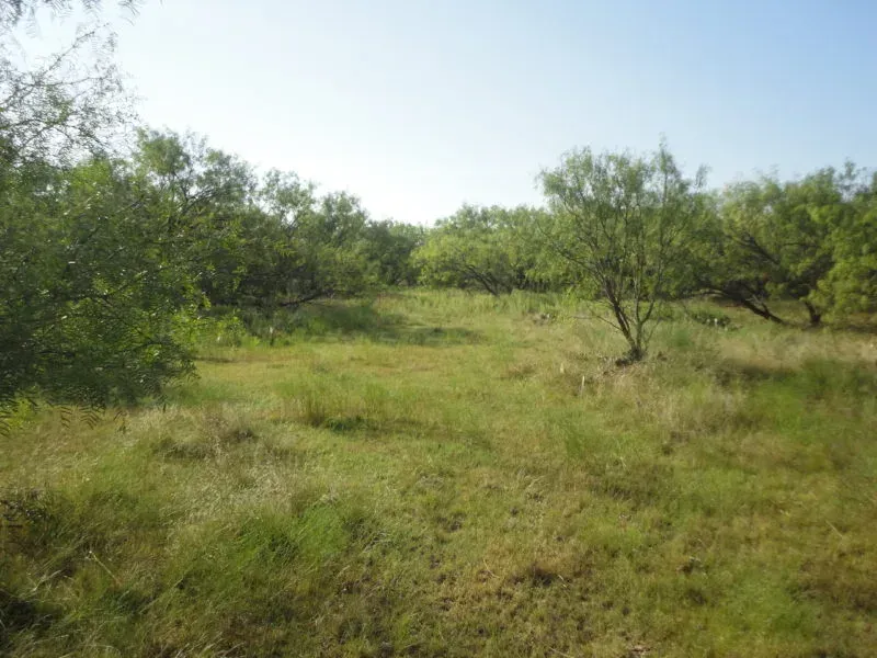 36.7 Acres – Dearing Rd, photo 1 of 1